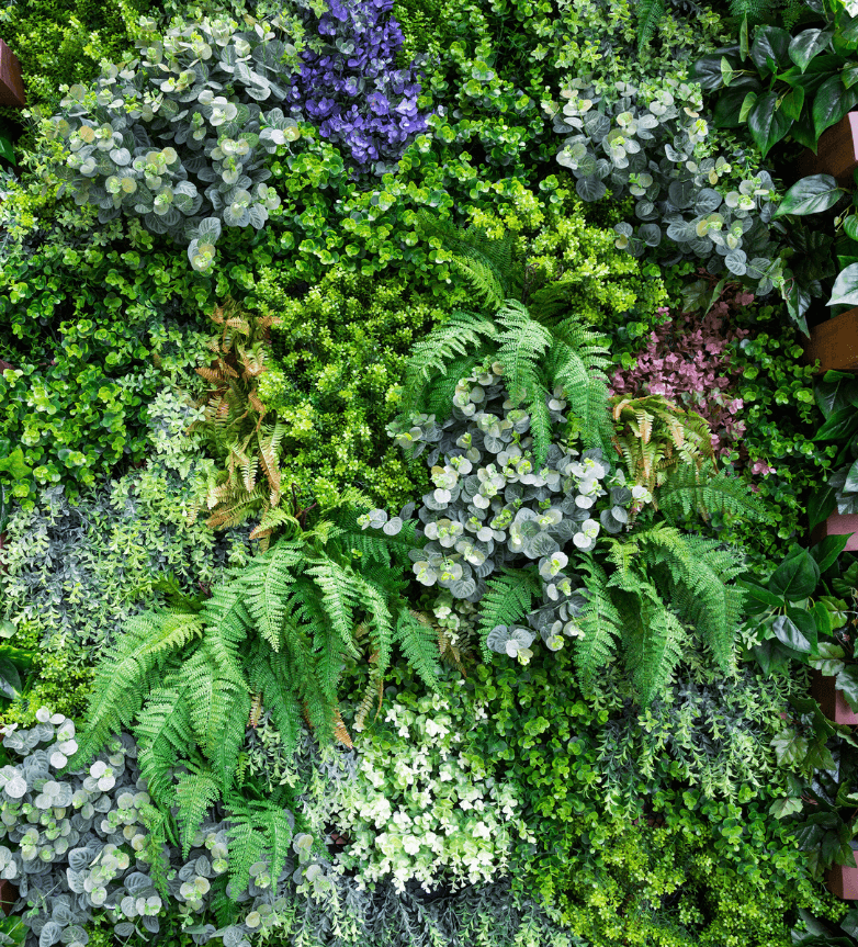 Artificial living wall installations Evergreen Artificial Lawns